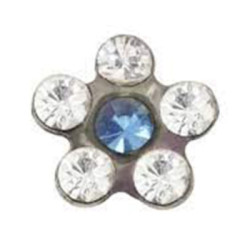 Pendientes Inverness 119C Acero Flor Na Azul